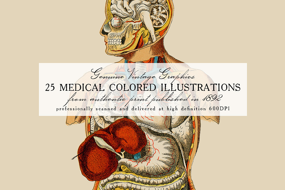 25 Medical Colored Illustrations