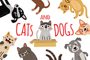 CATs and DOGs