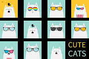 Cat wearing sunglasses. Popcorn box