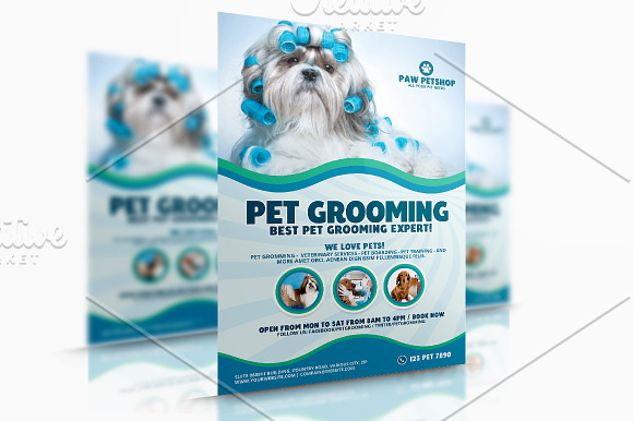 Pet Grooming Services in Flyer Templates - product preview 1