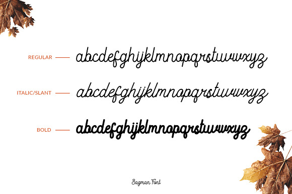 Bagman - Script Font in Script Fonts - product preview 7