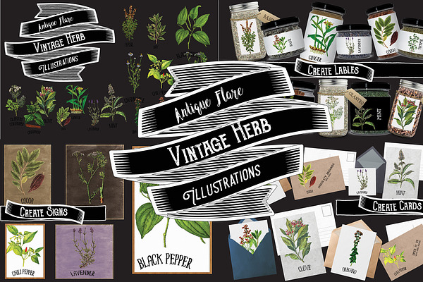 Herb & Spice Collection 1
