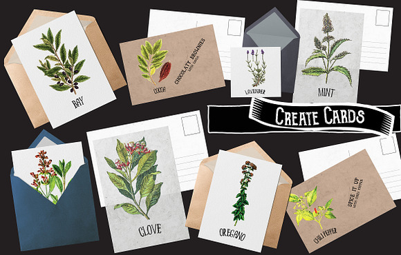 Herb & Spice Collection 1 in Illustrations - product preview 4