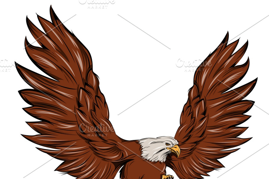 Single Eagle During Landing in Illustrations - product preview 8