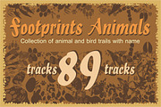 89 footprints animals and birds