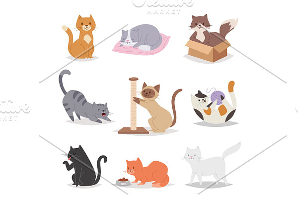 Funny cartoon cats characters different breeds illustration. Kitty young pet