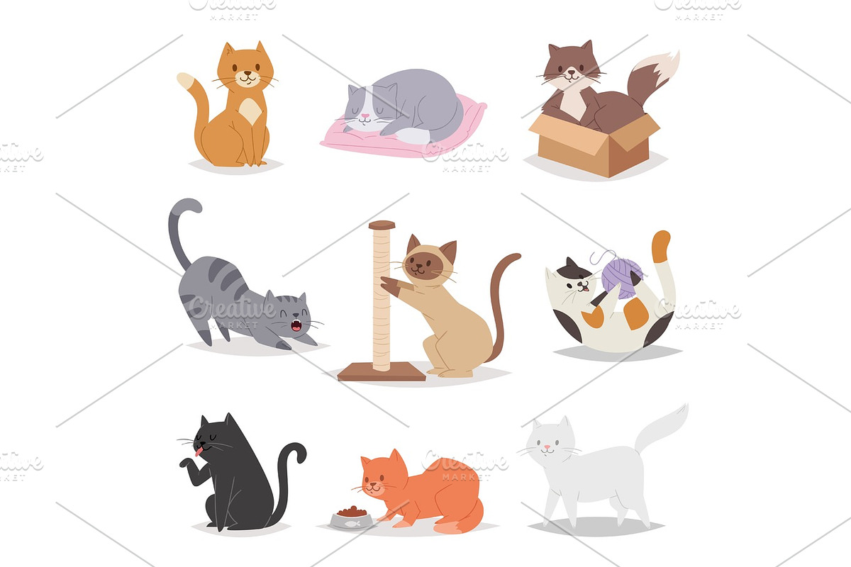 Funny cartoon cats characters different breeds illustration. Kitty young pet in Illustrations - product preview 8