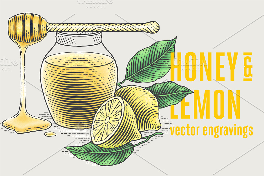Honey & Lemon in Illustrations - product preview 8