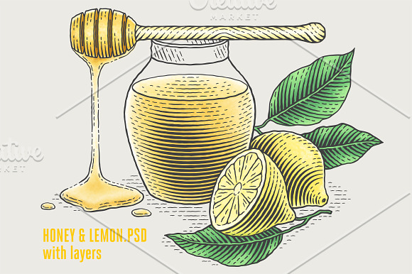 Honey & Lemon in Illustrations - product preview 1