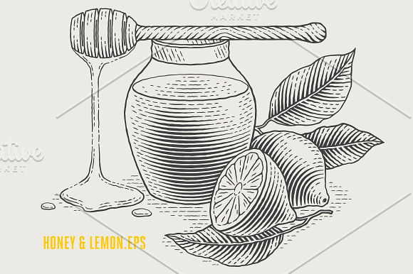 Honey & Lemon in Illustrations - product preview 2