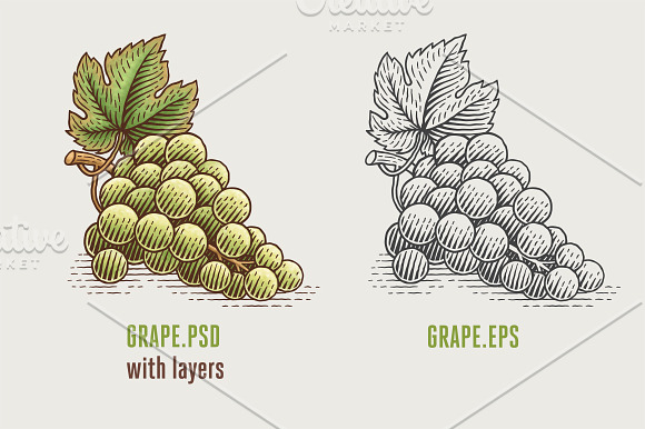 Wine and cheese bundle in Illustrations - product preview 7