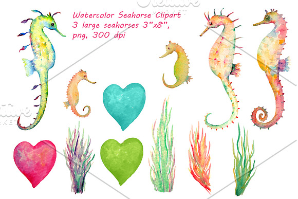 Watercolor Seahorse Clipart in Illustrations - product preview 1