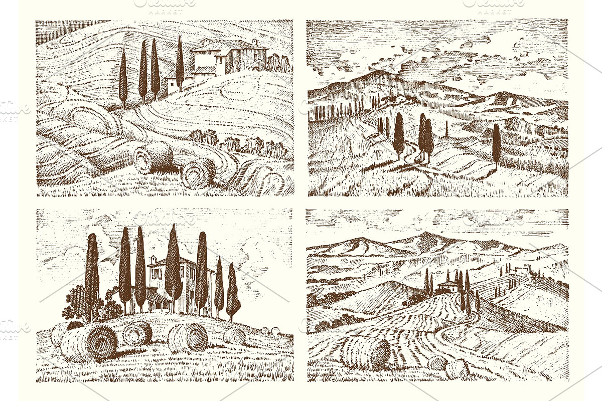 engraved hand drawn in old sketch and vintage style for label. Italian Tuscany fields background and cypress trees. harvesting and haystacks. Rural landscape of wineyard and village or rustic houses. in Illustrations - product preview 8