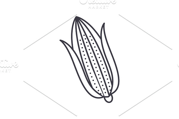 corn vector line icon, sign, illustration on background, editable strokes