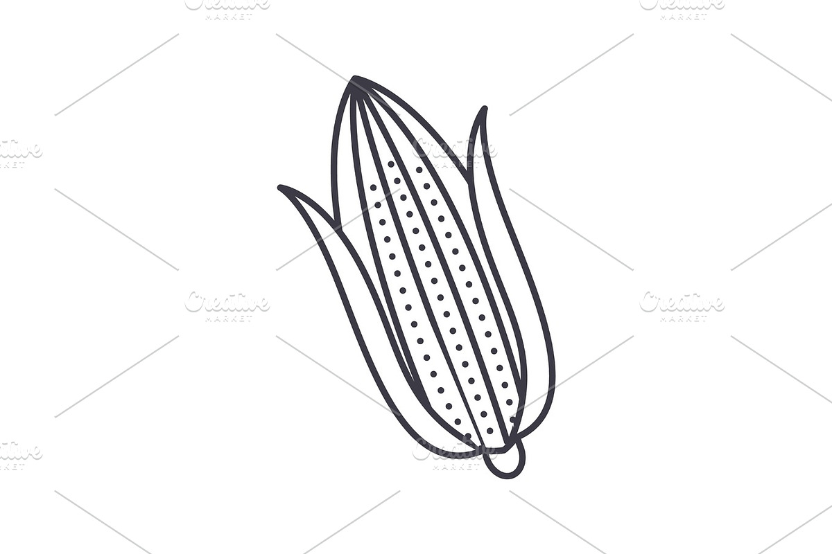 corn vector line icon, sign, illustration on background, editable strokes in Illustrations - product preview 8