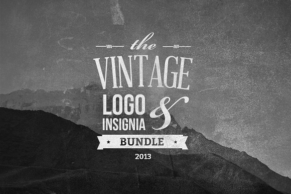 Vintage Logo & Insignia Bundle in Logo Templates - product preview 3