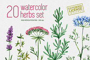 20 watercolor herbs set
