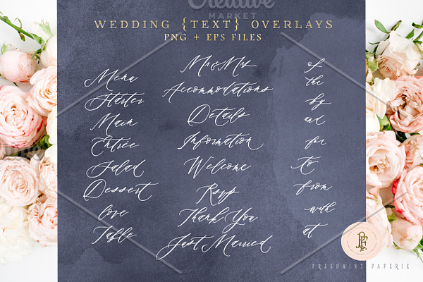 Modern Calligraphy Text overlays
