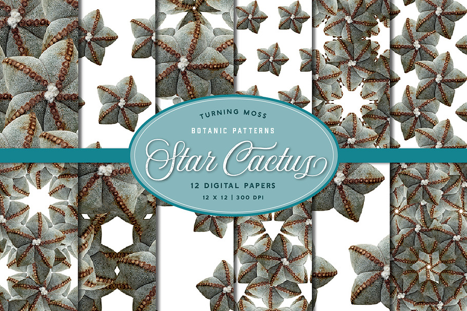 Star Cactus Patterns - Digital Paper