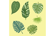 Tropical leaves summer green exotic jungle palm leaf nature plant botanical hawaii flora vector illustration.