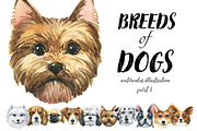 Breeds of dogs - watercolor. Part 1