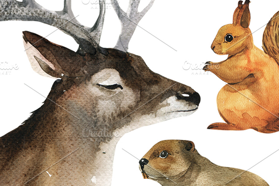 Forest Friends-watercolor animals