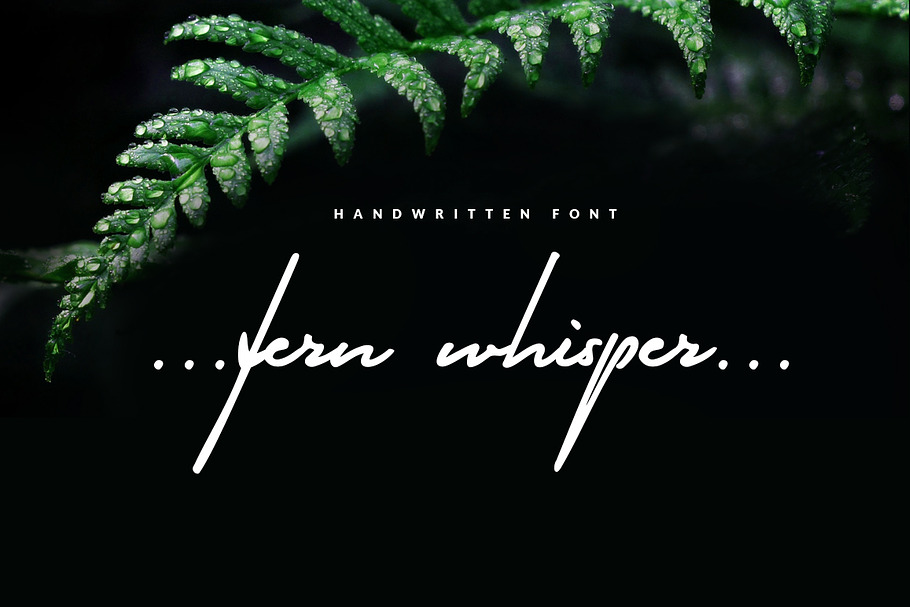 Fern Whisper - classy signature font in Script Fonts - product preview 8