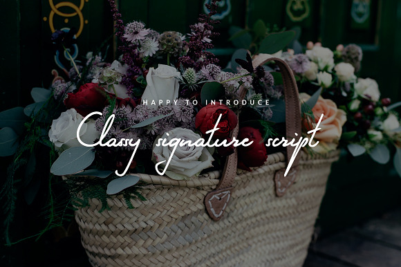 Fern Whisper - classy signature font in Script Fonts - product preview 2