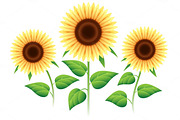 Sunflower cartoon icons set