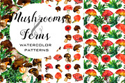 Watercolor mushroom and ferns set