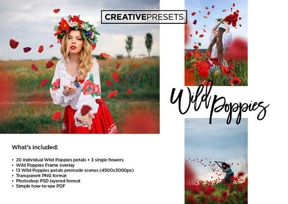 Wild Poppies Photo Overlays in Photoshop Layer Styles - product preview 2