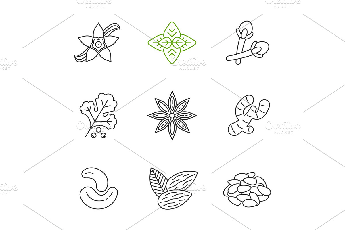 Spices linear icons set in Graphics - product preview 8