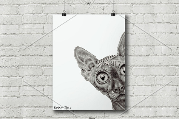 Sphynx Pencil Drawing Poster