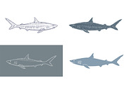 Set of Shark Vector Illustrations