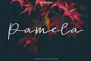 New! Pamela | Script Font
