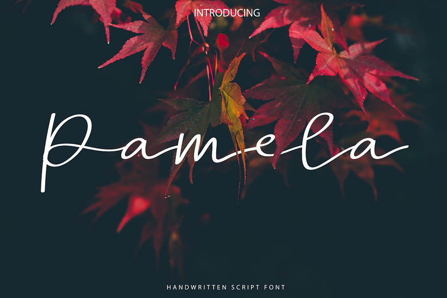 New! Pamela | Script Font in Script Fonts - product preview 8