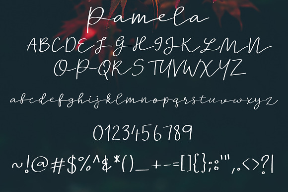 New! Pamela | Script Font in Script Fonts - product preview 5