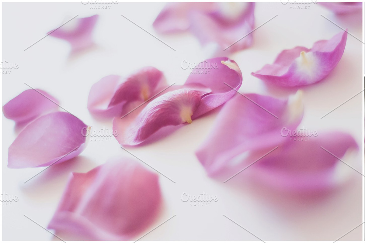 Rose Petal Photo Pack in Textures - product preview 8
