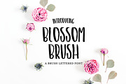 BLOSSOM BRUSH Font