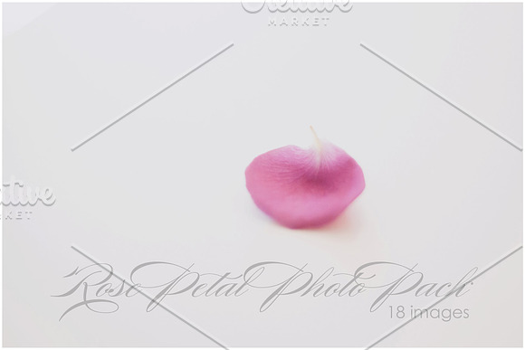 Rose Petal Photo Pack in Textures - product preview 1