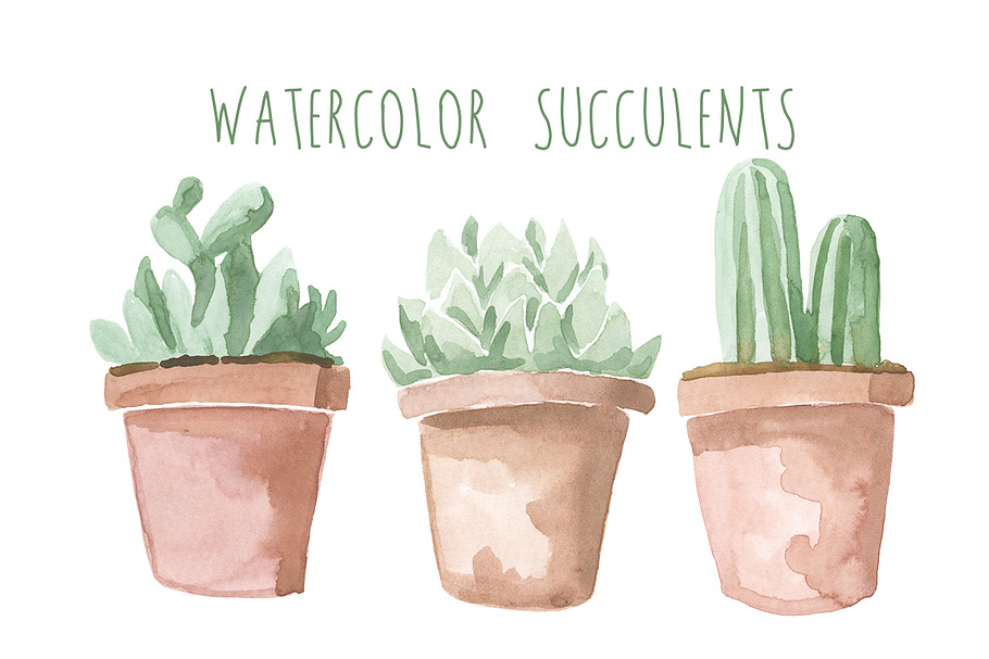 Watercolor Succulents