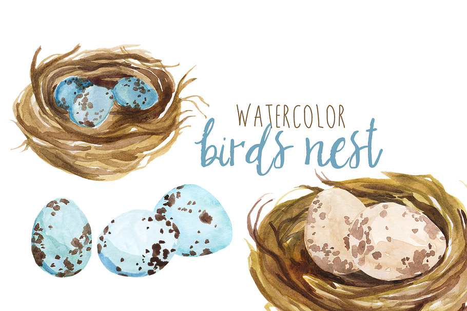 Watercolor Bird's Nest