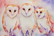 Watercolor Art Print Three Barn Owls