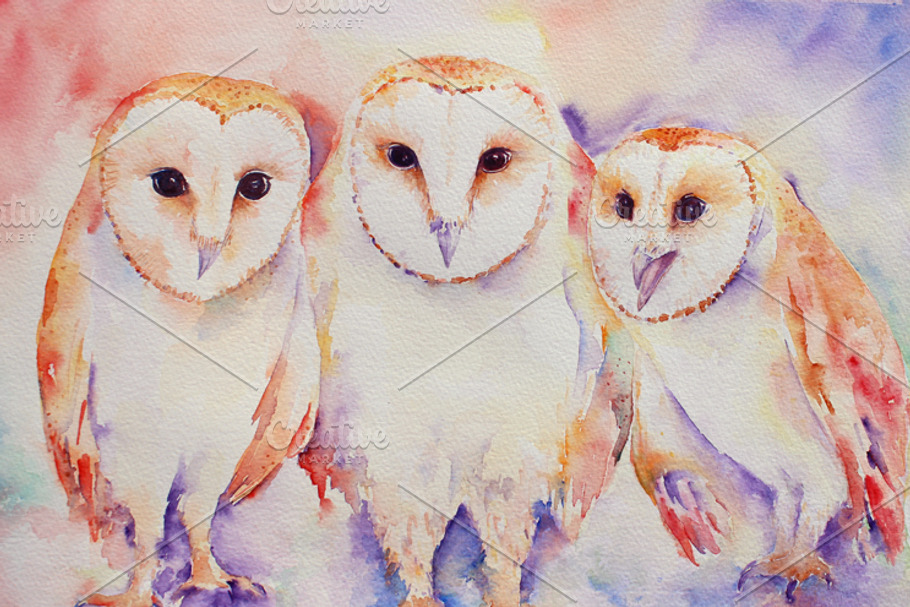 Watercolor Art Print Three Barn Owls