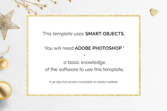 Christmas Card Photographer Template in Card Templates - product preview 5