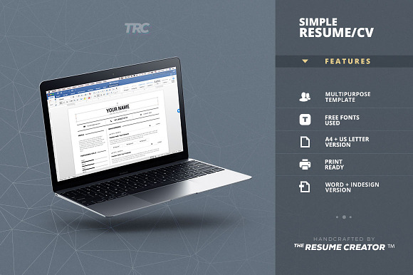 Simple Resume/Cv Template Volume 8 in Resume Templates - product preview 3