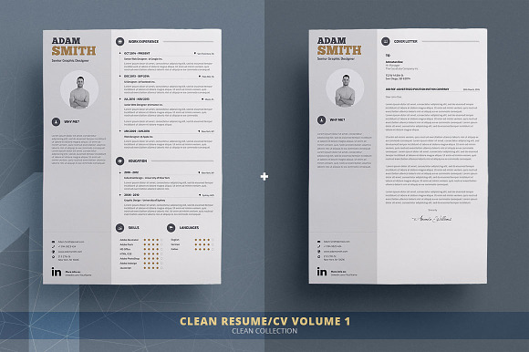Resume/Cv Bundle - Clean Collection in Resume Templates - product preview 1