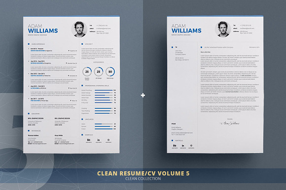 Resume/Cv Bundle - Clean Collection in Resume Templates - product preview 5