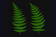 Green Fern Leaf Set