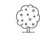 Fruit tree linear icon